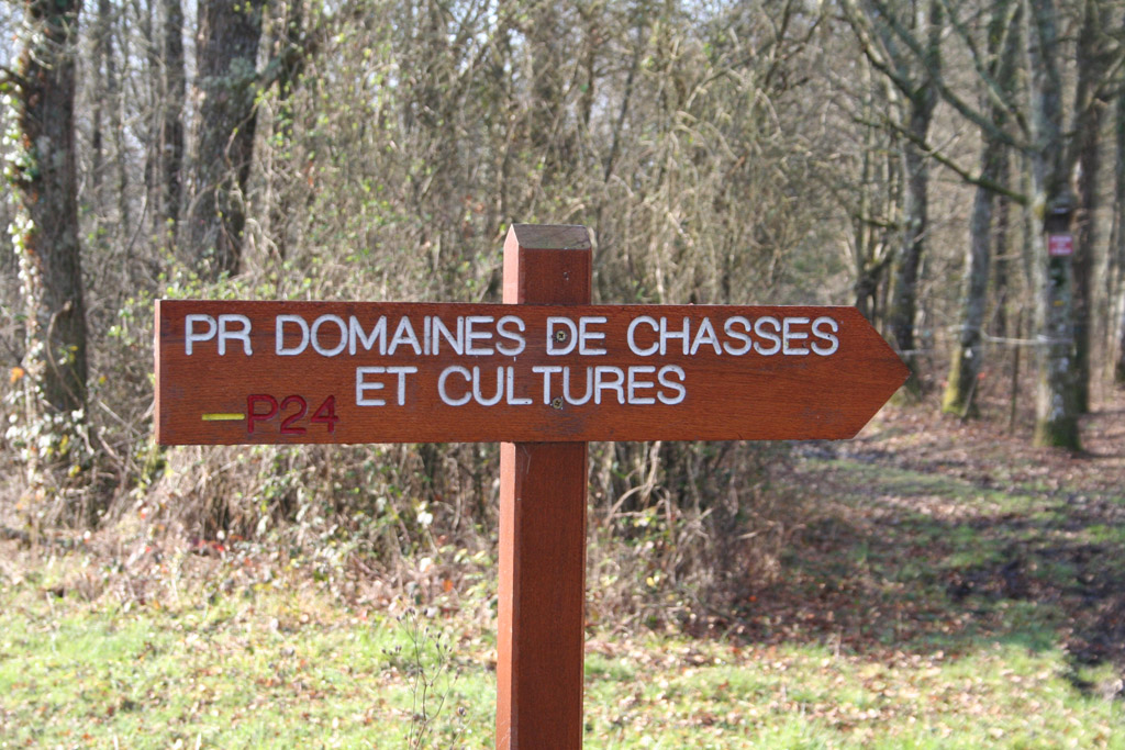 Panneau de signalisation forêt