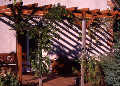 scat1 pergola