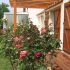 Pergola traditionnelle simple en chêne